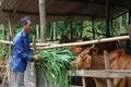 Những gương sáng mang họ Hồ của Bác