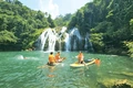 Tăng cường bảo tồn loài gỗ trắc, giáng hương ở miền Tây Quảng Trị