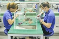 Thành lập Cụm công nghiệp Gio Linh vốn đầu tư 293,415 tỉ đồng