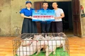 Hỗ trợ nâng cao năng lực cho thanh niên khuyết tật, thanh niên tái hòa nhập cộng đồng, thanh niên dân tộc thiểu số