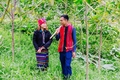 Chuyển đổi số thúc đẩy bình đẳng giới ở vùng cao