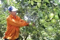 Triệu Thượng khai thác tiềm năng, thế mạnh để phát triển kinh tế