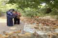 Cẩn trọng với gà “ôm trứng” giá rẻ