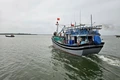 Ngư dân hối hả vào vụ cá Nam