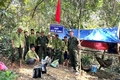 Băng rừng tìm...lâm tặc