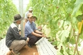 Thúc đẩy chuyển đổi số đáp ứng yêu cầu sắp xếp tổ chức bộ máy hệ thống chính trị