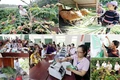 Xã Kim Ngân: Trao gạo hỗ trợ các đối tượng bảo trợ xã hội