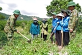 Đại hội đại biểu Đảng bộ Đoàn Kinh tế - Quốc phòng 337 lần thứ XI, nhiệm kỳ 2025-2030