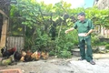Người đi qua hai cuộc chiến