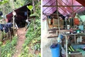 Phá dỡ lán trại, máy móc của “vàng tặc” tại rừng phòng hộ Quảng Trị
