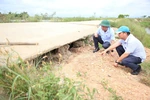 Cần sớm nâng cấp hệ thống đê điều phục vụ sản xuất