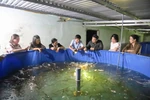Tiếp tục triển khai hiệu quả các nhiệm vụ khoa học và công nghệ