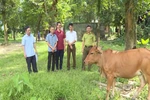 Hiệu quả từ thỏa thuận giảm phát thải vùng Bắc Trung bộ