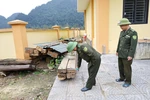 Phát hiện, xử lý 65 vụ vi phạm pháp luật về lâm nghiệp