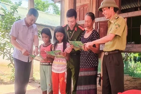 Bảo tồn động vật hoang dã, góp phần gìn giữ nguồn tài nguyên quý giá. Bài 2: Để động vật hoang dã có môi trường sống an toàn