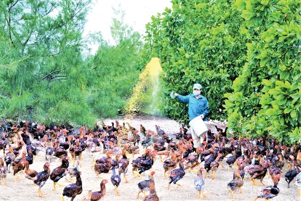 Nỗ lực hỗ trợ nông dân