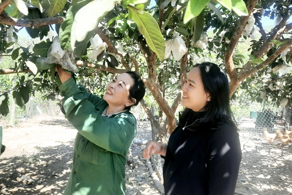 Mô hình kinh tế tổng hợp hiệu quả ở vùng biên