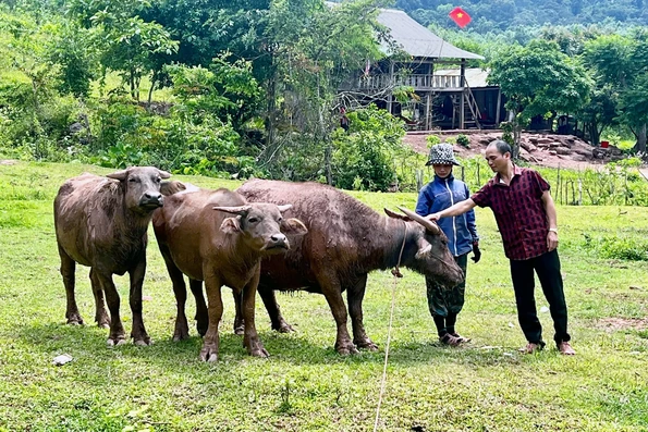 Hơn 8.400 người dân được vay vốn phát triển kinh tế